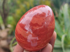 Polished Red Jasper Gemstone Eggs - Sold Per Item - From Northern Cape, South Africa - Toprock Gemstones and Minerals 