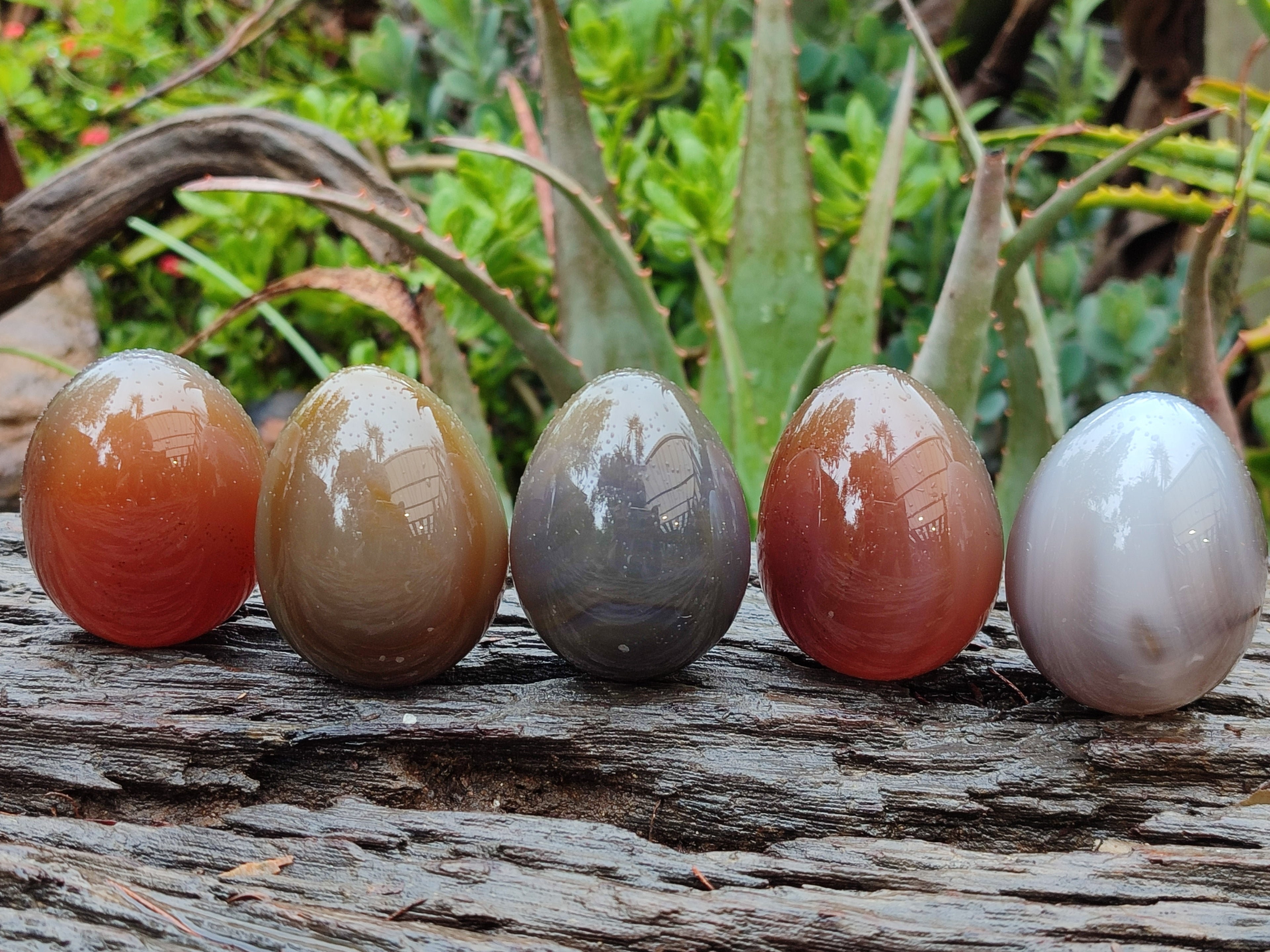 Polished Translucent Multicolor Banded Agate Eggs - Sold Per Item - From Madagascar - Toprock Gemstones and Minerals 