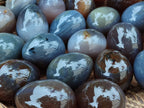 Polished Translucent Multicolor Banded Agate Eggs - Sold Per Item - From Madagascar - Toprock Gemstones and Minerals 