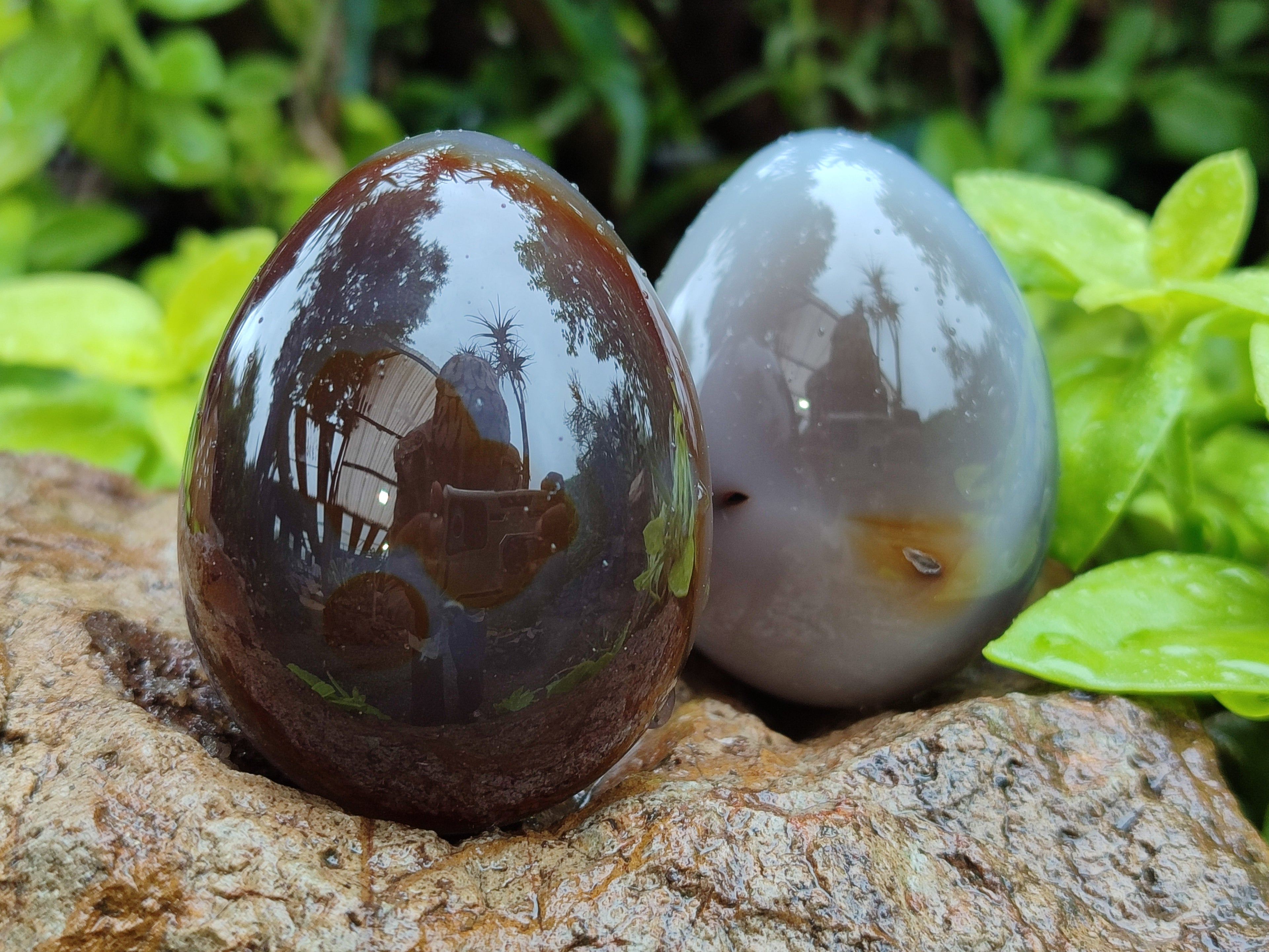 Polished Translucent Multicolor Banded Agate Eggs - Sold Per Item - From Madagascar - Toprock Gemstones and Minerals 