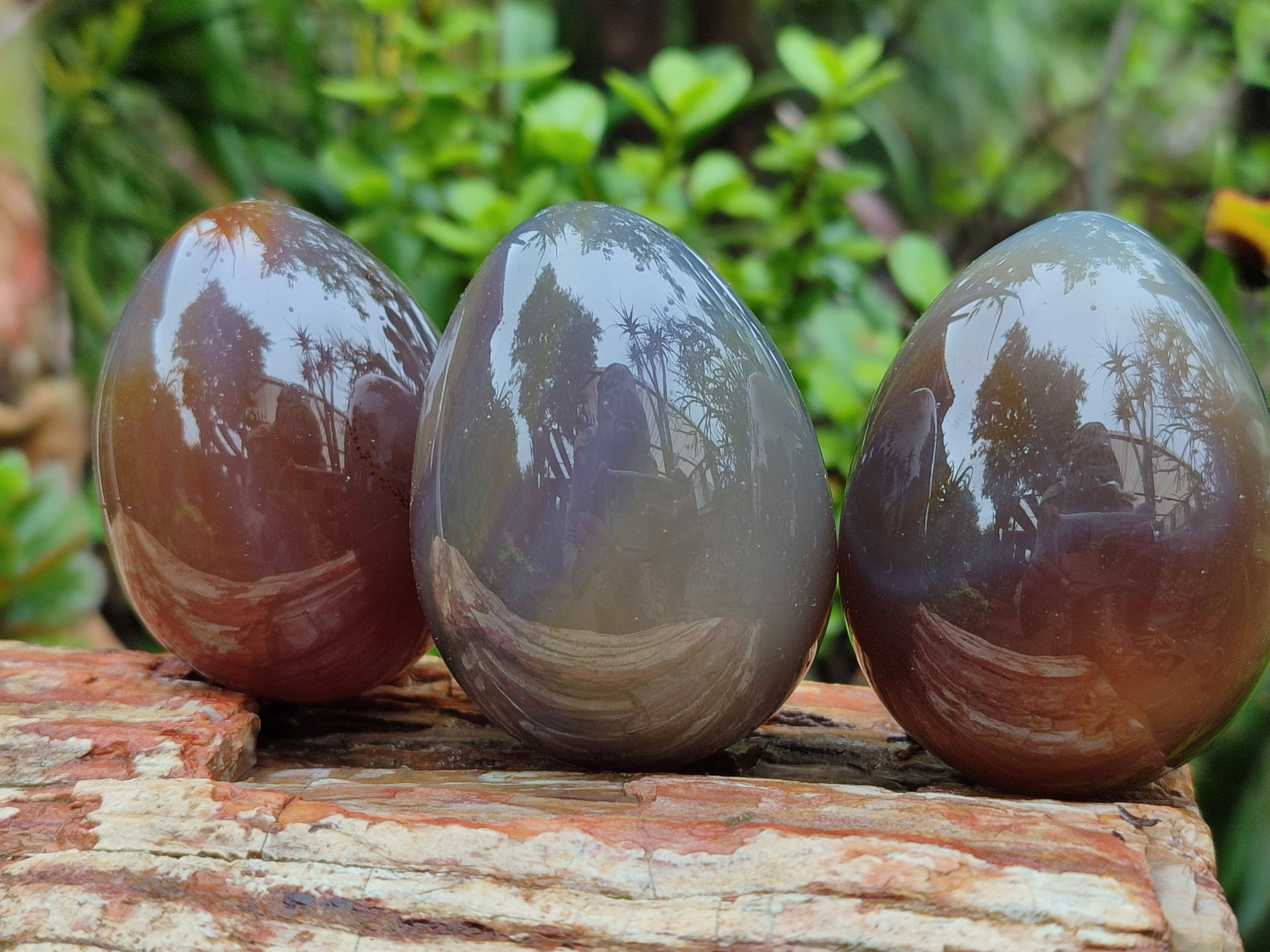 Polished Translucent Multicolor Banded Agate Eggs - Sold Per Item - From Madagascar - Toprock Gemstones and Minerals 
