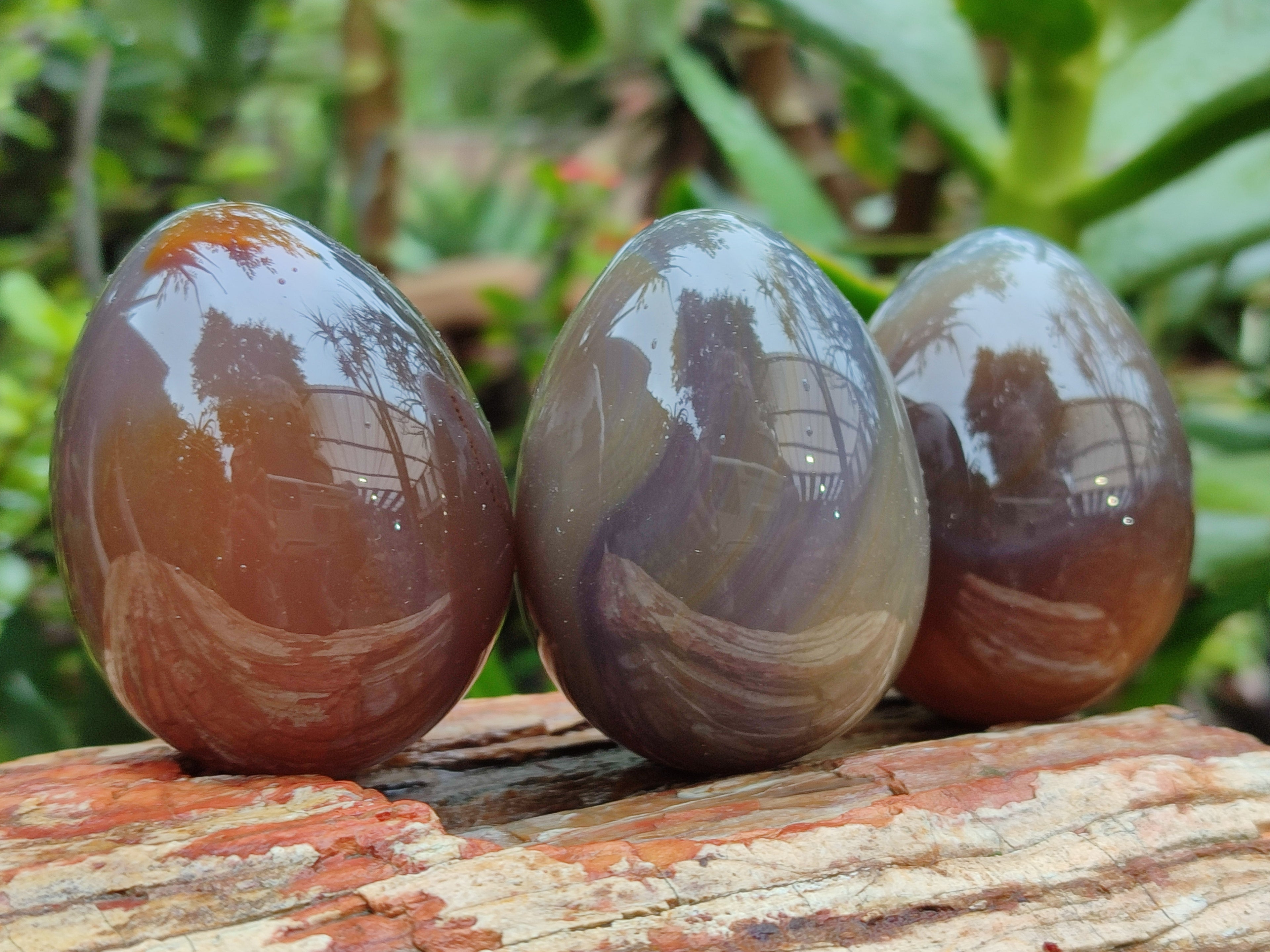 Polished Translucent Multicolor Banded Agate Eggs - Sold Per Item - From Madagascar - Toprock Gemstones and Minerals 