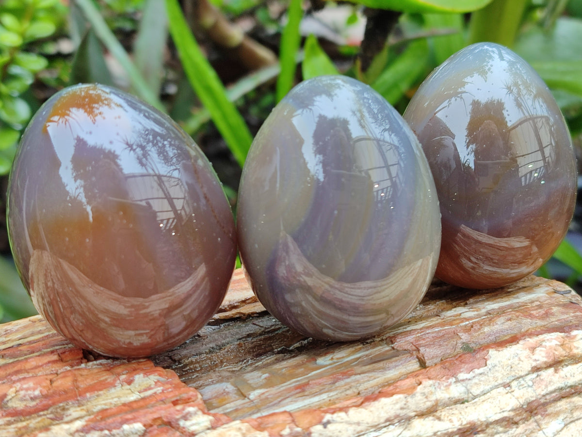 Polished Translucent Multicolor Banded Agate Eggs - Sold Per Item - From Madagascar - Toprock Gemstones and Minerals 