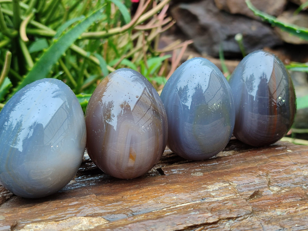 Polished Translucent Multicolor Banded Agate Eggs - Sold Per Item - From Madagascar - Toprock Gemstones and Minerals 