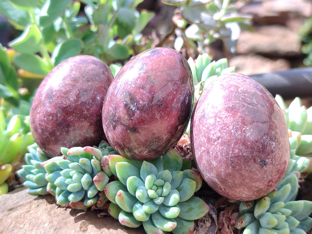 Polished Small Rhodonite Gemstone Eggs - Sold Per Item - From Zimbabwe - Toprock Gemstones and Minerals 
