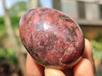 Polished Small Rhodonite Gemstone Eggs - Sold Per Item - From Zimbabwe - Toprock Gemstones and Minerals 