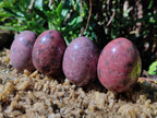 Polished Small Rhodonite Gemstone Eggs - Sold Per Item - From Zimbabwe - Toprock Gemstones and Minerals 