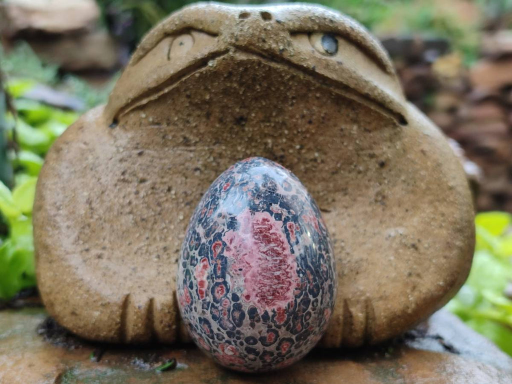 Polished Large Snakeskin Rhyolite Jasper Gemstone Eggs - Sold Per Item - From Australia - Toprock Gemstones and Minerals 