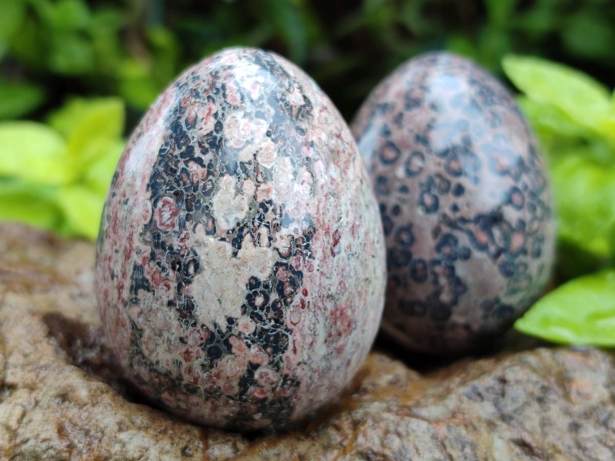 Polished Large Snakeskin Rhyolite Jasper Gemstone Eggs - Sold Per Item - From Australia - Toprock Gemstones and Minerals 