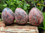 Polished Large Snakeskin Rhyolite Jasper Gemstone Eggs - Sold Per Item - From Australia - Toprock Gemstones and Minerals 