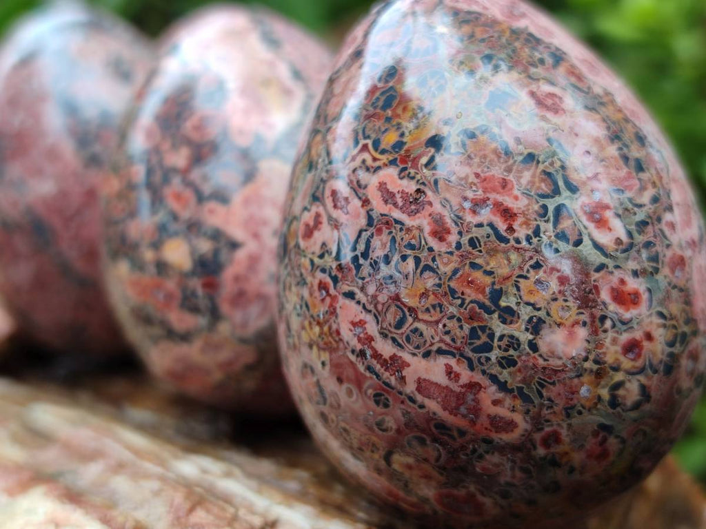Polished Large Snakeskin Rhyolite Jasper Gemstone Eggs - Sold Per Item - From Australia - Toprock Gemstones and Minerals 