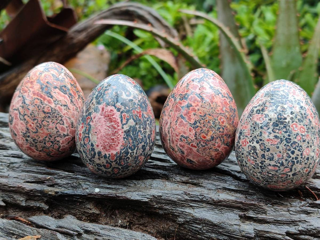 Polished Large Snakeskin Rhyolite Jasper Gemstone Eggs - Sold Per Item - From Australia - Toprock Gemstones and Minerals 