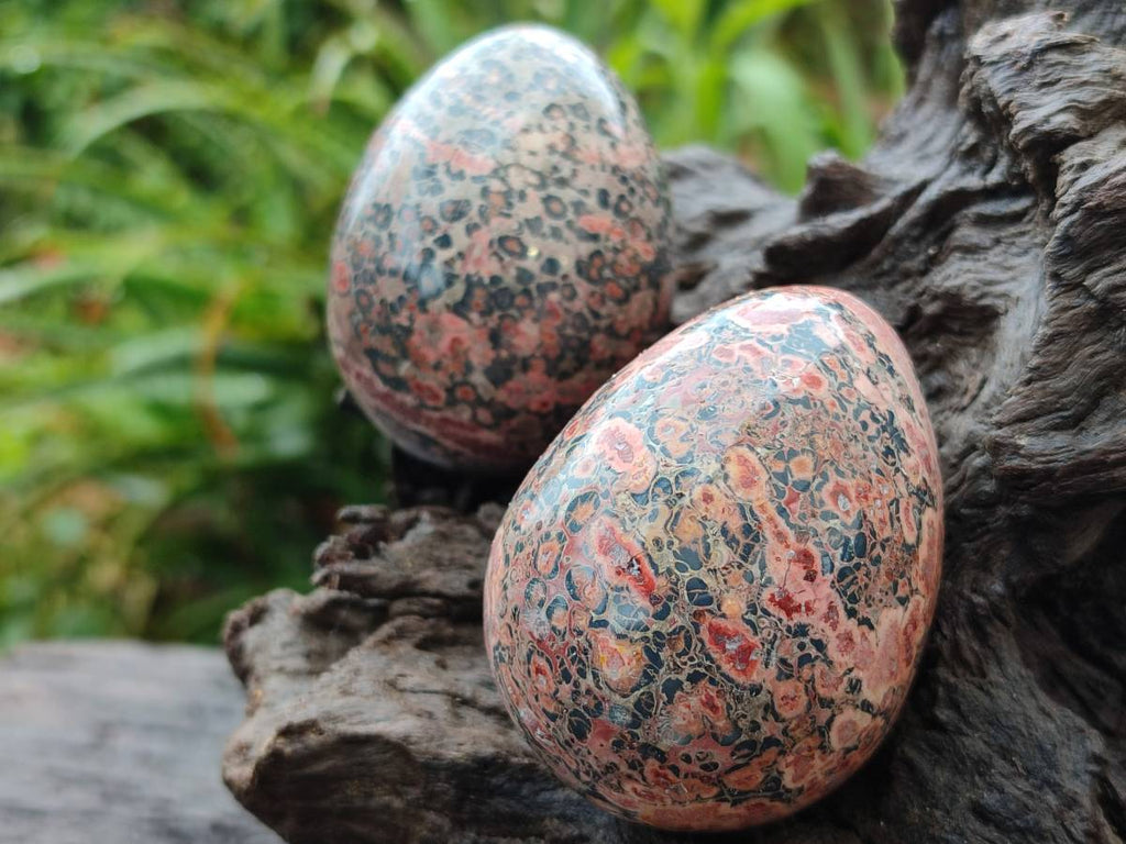 Polished Large Snakeskin Rhyolite Jasper Gemstone Eggs - Sold Per Item - From Australia - Toprock Gemstones and Minerals 