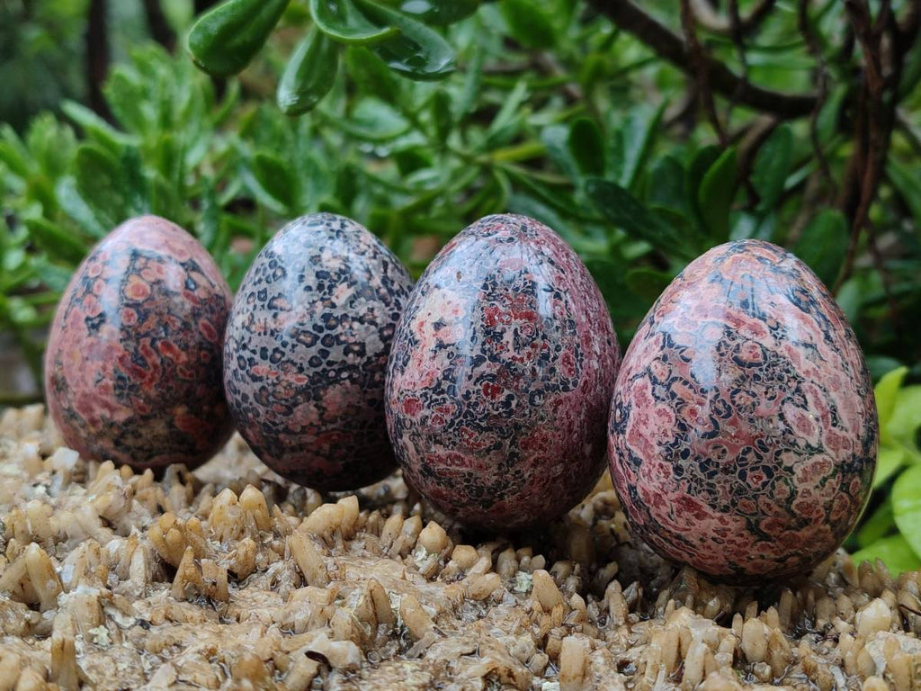 Polished Large Snakeskin Rhyolite Jasper Gemstone Eggs - Sold Per Item - From Australia - Toprock Gemstones and Minerals 