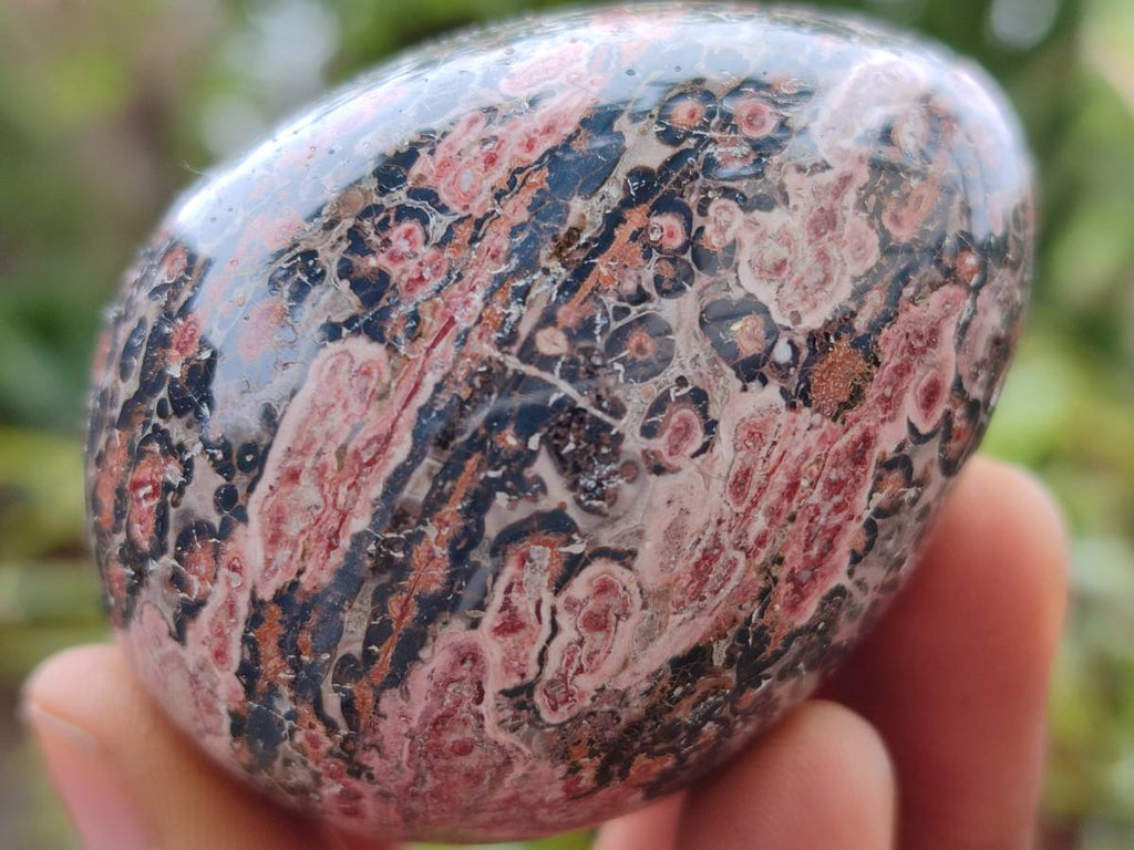Polished Large Snakeskin Rhyolite Jasper Gemstone Eggs - Sold Per Item - From Australia - Toprock Gemstones and Minerals 