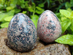 Polished Large Snakeskin Rhyolite Jasper Gemstone Eggs - Sold Per Item - From Australia - Toprock Gemstones and Minerals 