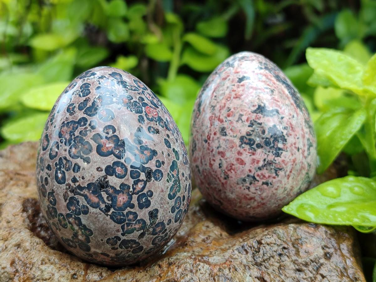 Polished Large Snakeskin Rhyolite Jasper Gemstone Eggs - Sold Per Item - From Australia - Toprock Gemstones and Minerals 