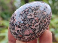 Polished Snakeskin Rhyolite Jasper Gemstone Eggs - Sold Per Item - From Australia - Toprock Gemstones and Minerals 