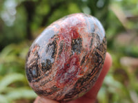 Polished Snakeskin Rhyolite Jasper Gemstone Eggs - Sold Per Item - From Australia - Toprock Gemstones and Minerals 