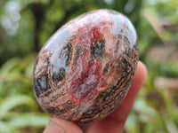 Polished Snakeskin Rhyolite Jasper Gemstone Eggs - Sold Per Item - From Australia - Toprock Gemstones and Minerals 