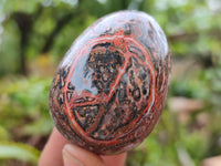 Polished Snakeskin Rhyolite Jasper Gemstone Eggs - Sold Per Item - From Australia - Toprock Gemstones and Minerals 