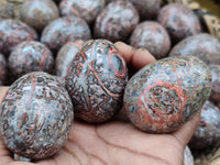 Polished Snakeskin Rhyolite Jasper Gemstone Eggs - Sold Per Item - From Australia - Toprock Gemstones and Minerals 