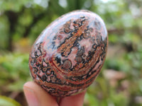 Polished Snakeskin Rhyolite Jasper Gemstone Eggs - Sold Per Item - From Australia - Toprock Gemstones and Minerals 