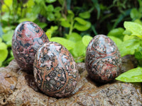 Polished Snakeskin Rhyolite Jasper Gemstone Eggs - Sold Per Item - From Australia - Toprock Gemstones and Minerals 