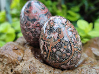 Polished Snakeskin Rhyolite Jasper Gemstone Eggs - Sold Per Item - From Australia - Toprock Gemstones and Minerals 