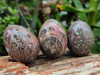 Polished Snakeskin Rhyolite Jasper Gemstone Eggs - Sold Per Item - From Australia - Toprock Gemstones and Minerals 