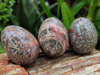 Polished Snakeskin Rhyolite Jasper Gemstone Eggs - Sold Per Item - From Australia - Toprock Gemstones and Minerals 