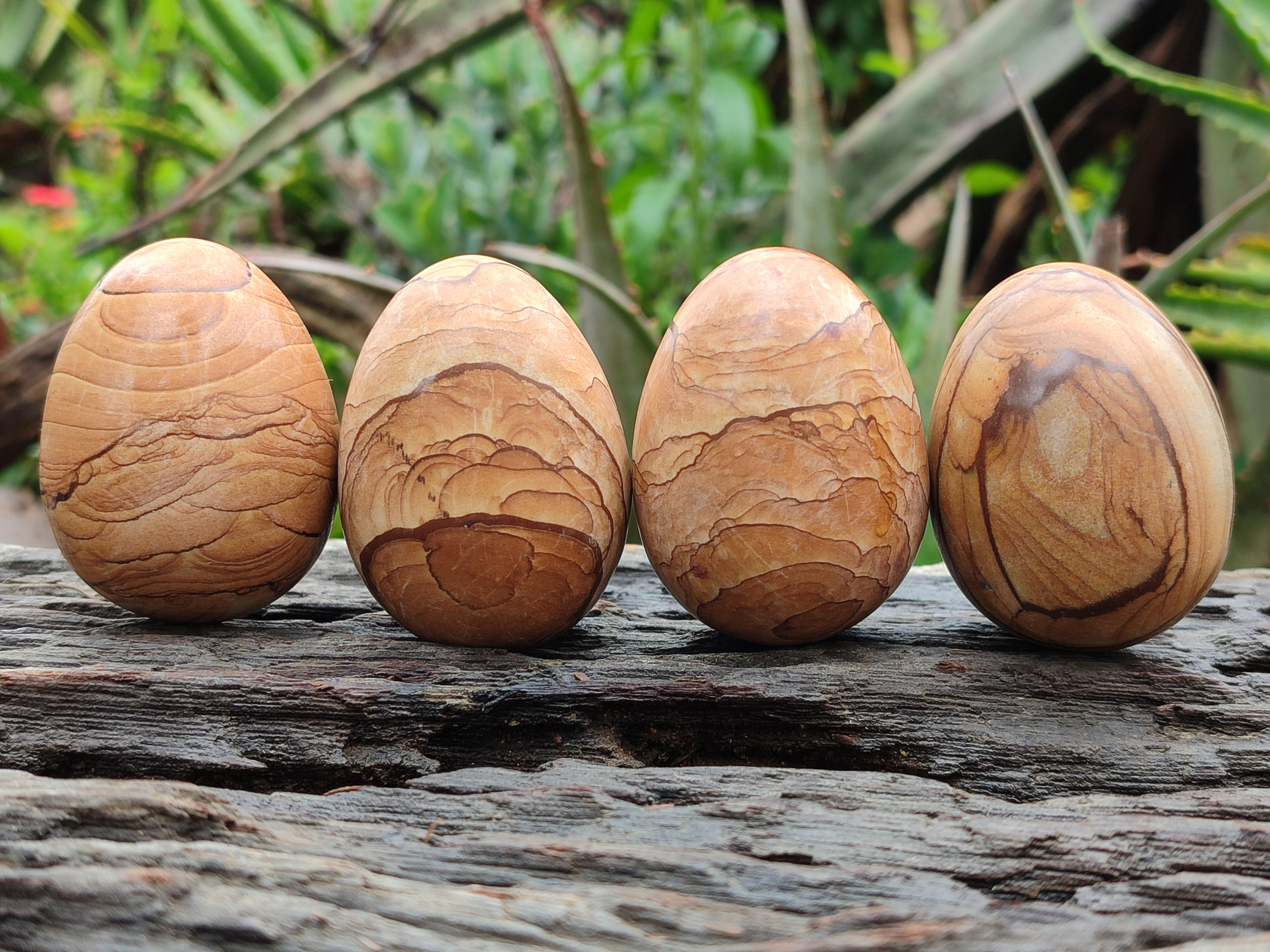 Polished Large Namibian Desert Picture Stone Jasper Eggs - Sold Per Item - From Ais-Ais Namibia - Toprock Gemstones and Minerals 