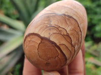 Polished Large Namibian Desert Picture Stone Jasper Eggs - Sold Per Item - From Ais-Ais Namibia - Toprock Gemstones and Minerals 