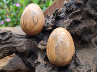 Polished Large Namibian Desert Picture Stone Jasper Eggs - Sold Per Item - From Ais-Ais Namibia - Toprock Gemstones and Minerals 