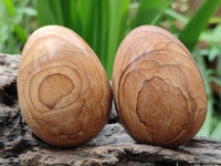Polished Large Namibian Desert Picture Stone Jasper Eggs - Sold Per Item - From Ais-Ais Namibia - Toprock Gemstones and Minerals 