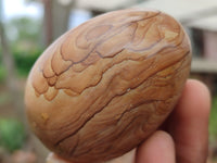 Polished Large Namibian Desert Picture Stone Jasper Eggs - Sold Per Item - From Ais-Ais Namibia - Toprock Gemstones and Minerals 