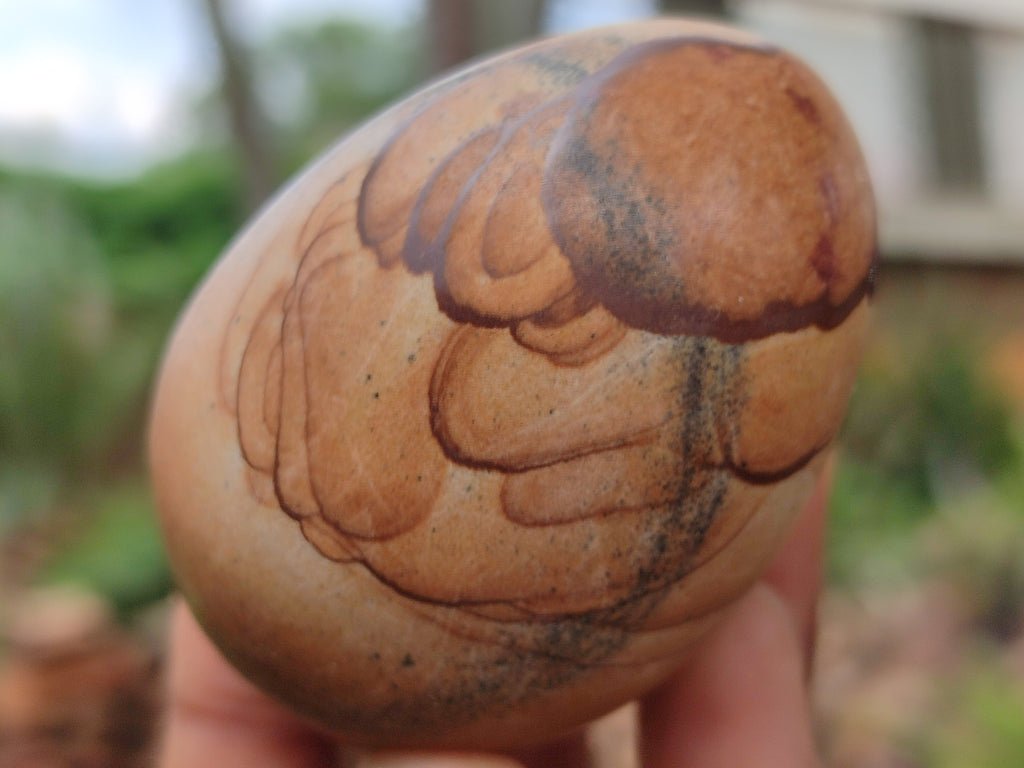 Polished Large Namibian Desert Picture Stone Jasper Eggs - Sold Per Item - From Ais-Ais Namibia - Toprock Gemstones and Minerals 