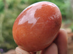 Polished Orange Quartz Gemstone Eggs - Sold Per Item - From Zimbabwe - Toprock Gemstones and Minerals 