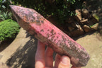 Polished Rhodonite Points x 2 From Ambindavato, Madagascar - Toprock Gemstones and Minerals 
