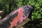 Polished Rhodonite Points x 2 From Ambindavato, Madagascar - Toprock Gemstones and Minerals 