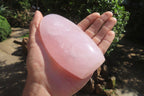 Polished Rose Quartz Standing Free Forms x 2 From Madagascar - Toprock Gemstones and Minerals 