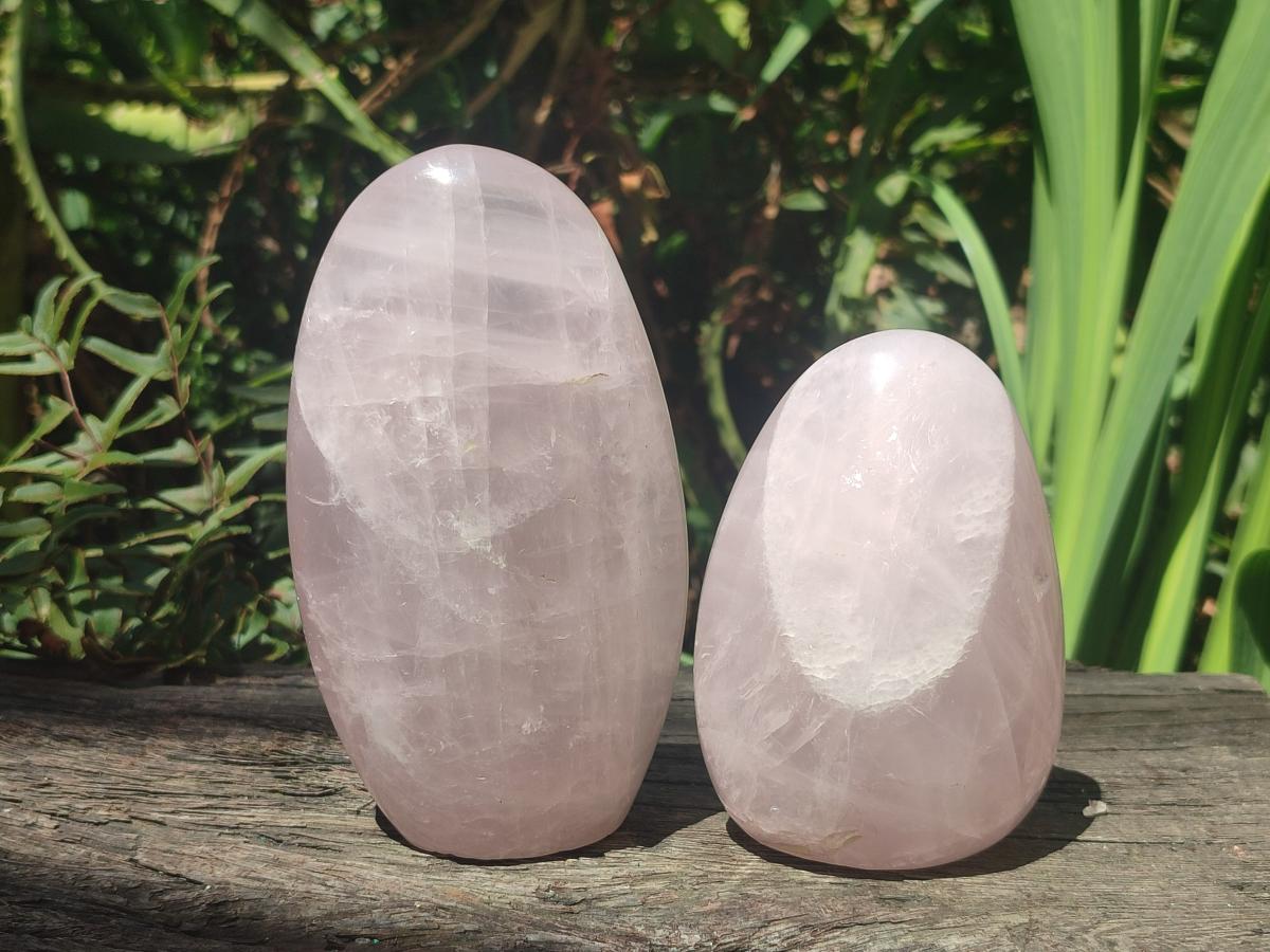 Polished Gemmy Rose Quartz Standing Display Pieces x 2 From Madagascar