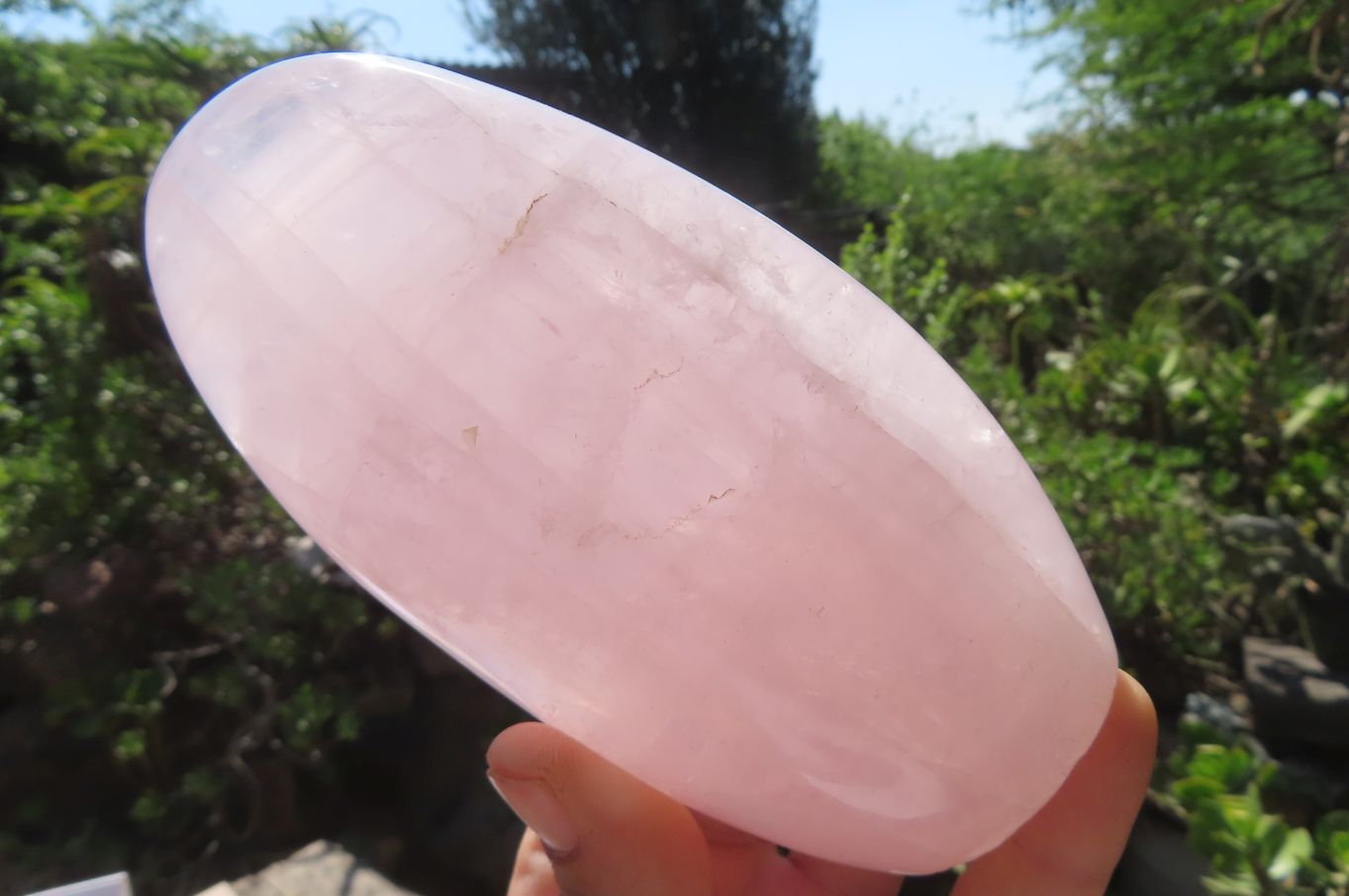 Polished Rose Quartz Standing Free Forms x 2 From Madagascar - Toprock Gemstones and Minerals 