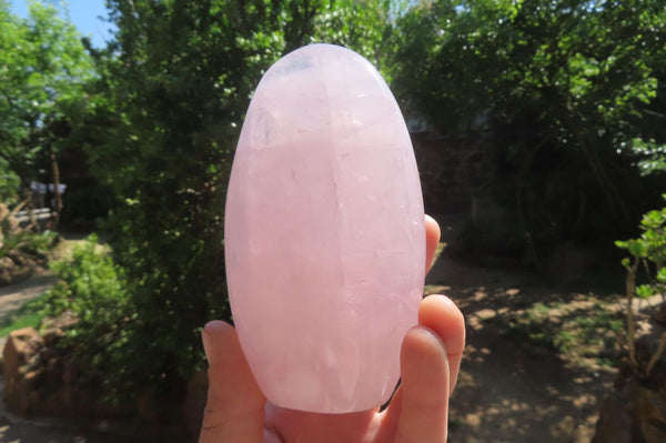 Polished Rose Quartz Standing Free Forms x 2 From Madagascar - Toprock Gemstones and Minerals 
