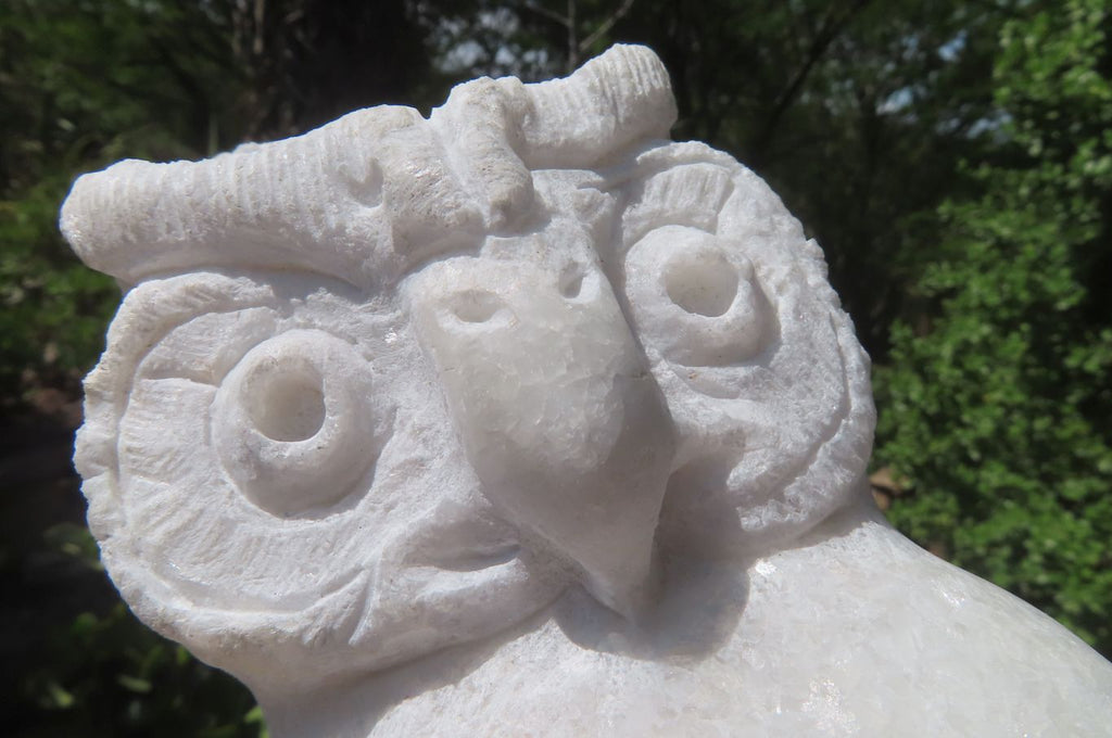 Hand Made White Marble Owl Carving x 1 From Zimbabwe - Toprock Gemstones and Minerals 