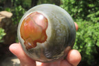 Polished Polychrome Jasper Spheres x 4 From Madagascar - Toprock Gemstones and Minerals 
