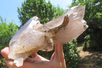 Natural Smokey Quartz Cluster With Schorl x 1 From Zomba, Malawi - Toprock Gemstones and Minerals 