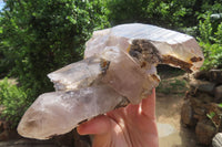 Natural Smokey Quartz Cluster With Schorl x 1 From Zomba, Malawi - Toprock Gemstones and Minerals 