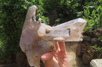Natural Smokey Quartz Cluster With Schorl x 1 From Zomba, Malawi - Toprock Gemstones and Minerals 