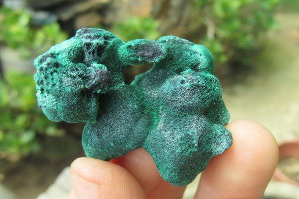 Natural Silky Malachite Specimens x 20 From Kasompe, Congo - Toprock Gemstones and Minerals 